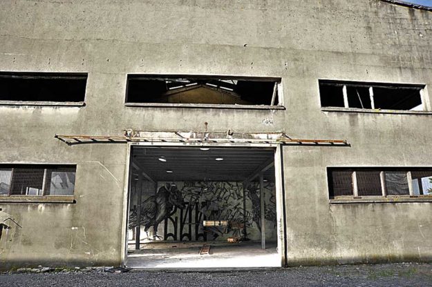 trakt&crewer cityzoo