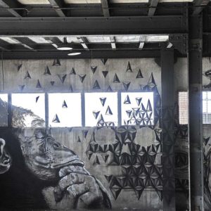 trakt&crewer cityzoo