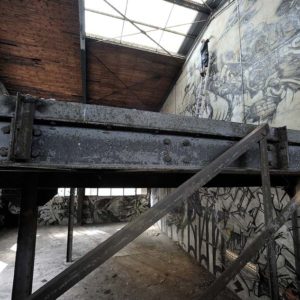 trakt&crewer cityzoo