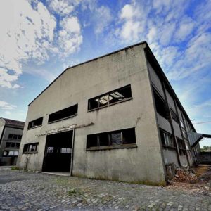 trakt&crewer cityzoo