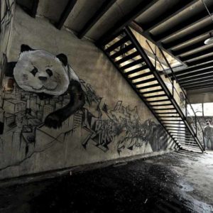 trakt&crewer cityzoo