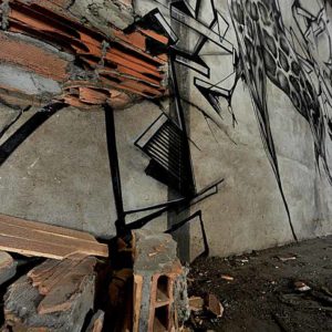 trakt&crewer cityzoo