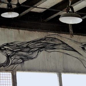 trakt&crewer cityzoo