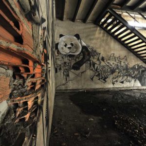 trakt&crewer cityzoo