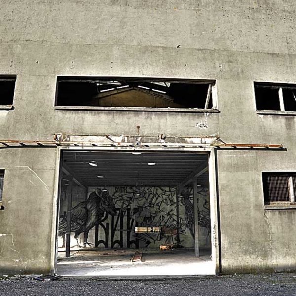 trakt&crewer cityzoo